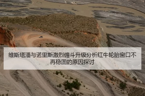 维斯塔潘与诺里斯激烈缠斗升级分析红牛轮胎窗口不再稳固的原因探讨