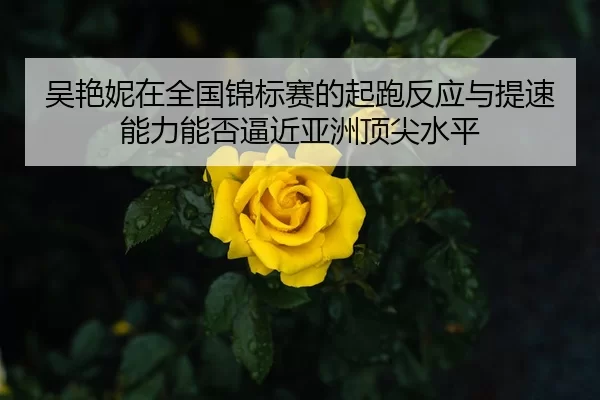 wu-yan-ni-zai-quan-guo-jin-biao-sai-de-qi-pao-fan-ying-yu-ti-su-neng-li-neng-fou-bi-jin-ya-zhou-ding-jian-shui-ping-1-738.jpg