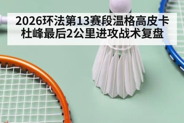 2026环法第13赛段温格高皮卡杜峰最后2公里进攻战术复盘